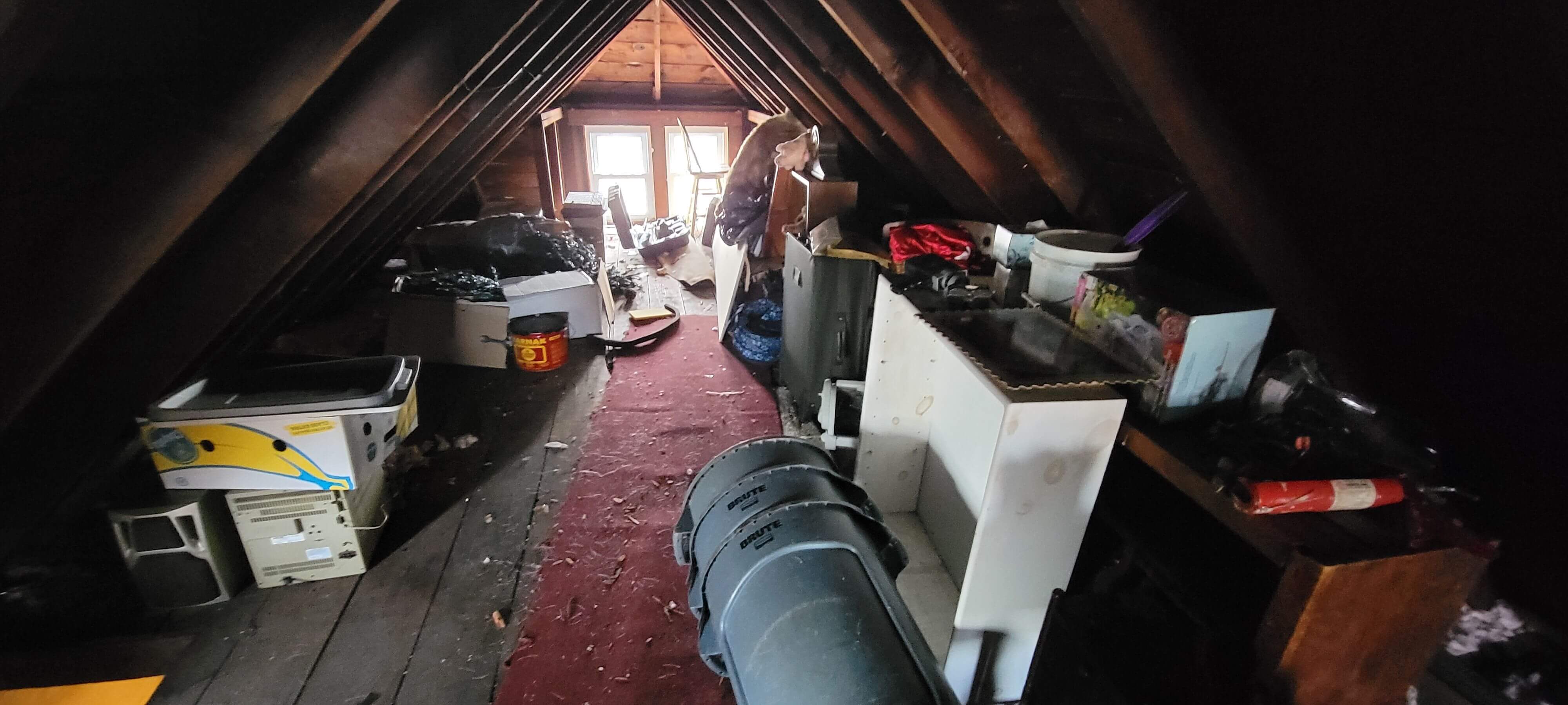 Before attic cleanout in Maspeth, NY