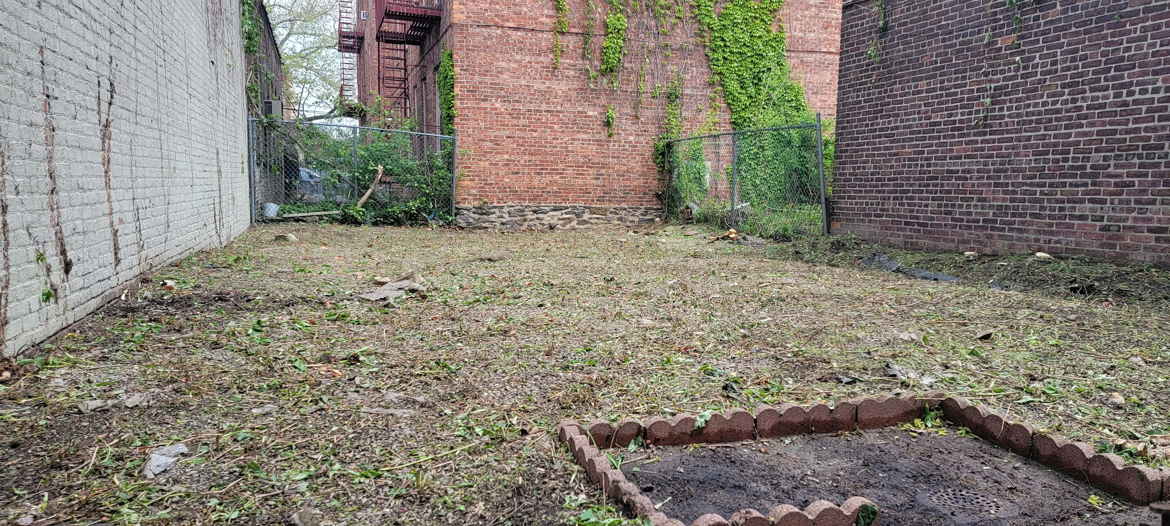After yard debris cleanup in NYC, NY